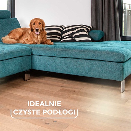 Always Clean Vileda Pet Pro - idealne usuwa sierść