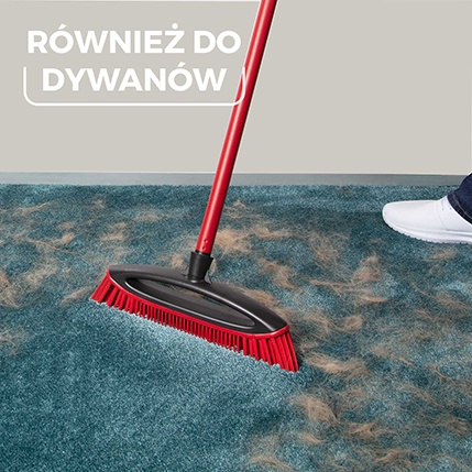 Always Clean Vileda Pet Pro - skutecznie czyści dywany